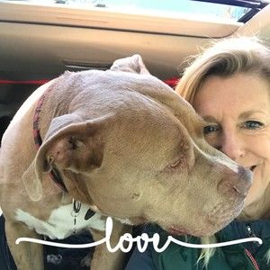 Meet your Posher, Diane